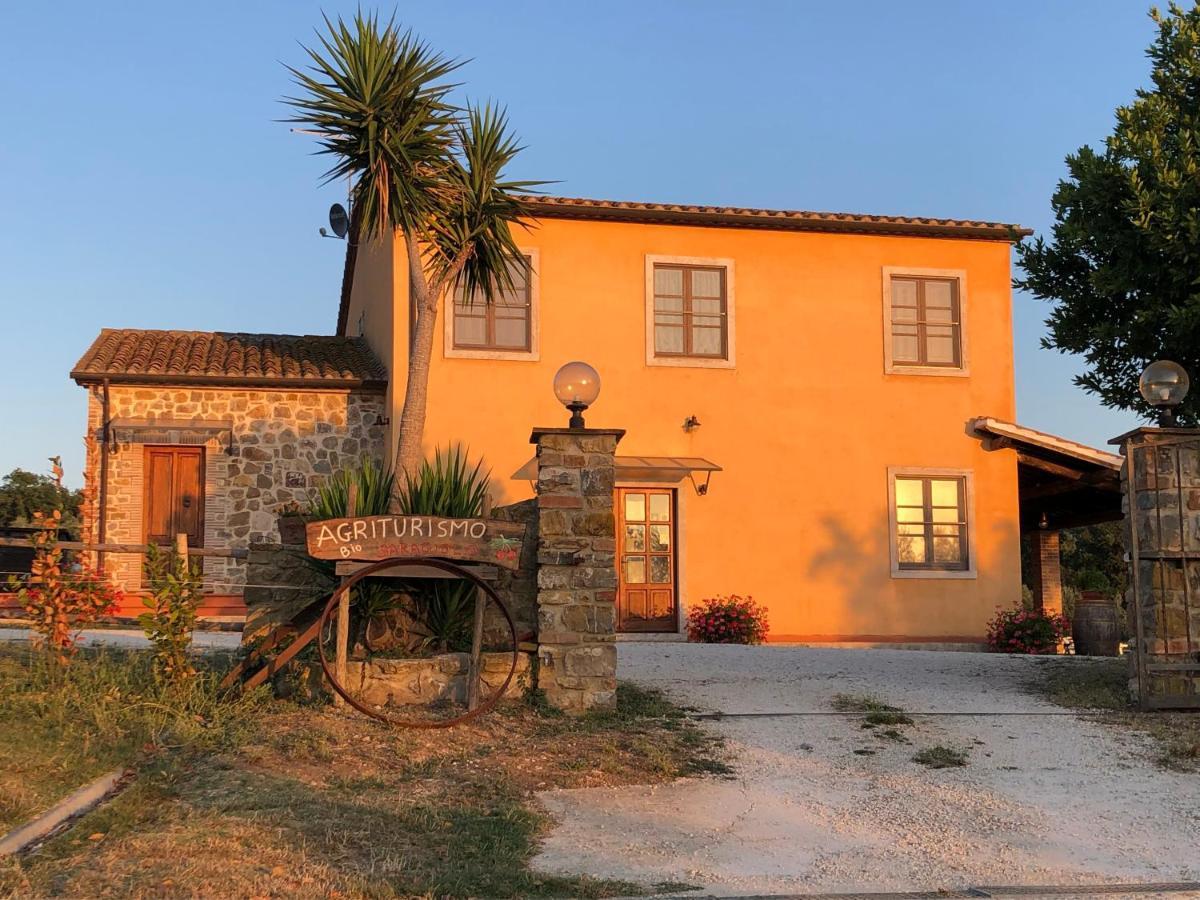 몬테메라노 Agriturismo Il Saragiolo 빌라 외부 사진